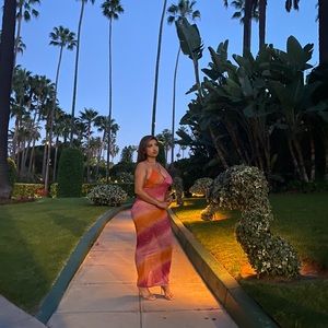 Twiley Sold Out Sheer maxi dress ✨